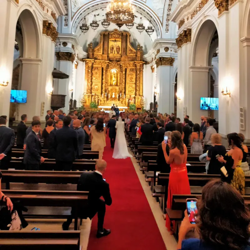 alfombra roja interior alta calidad 12 metros ancho 800x800