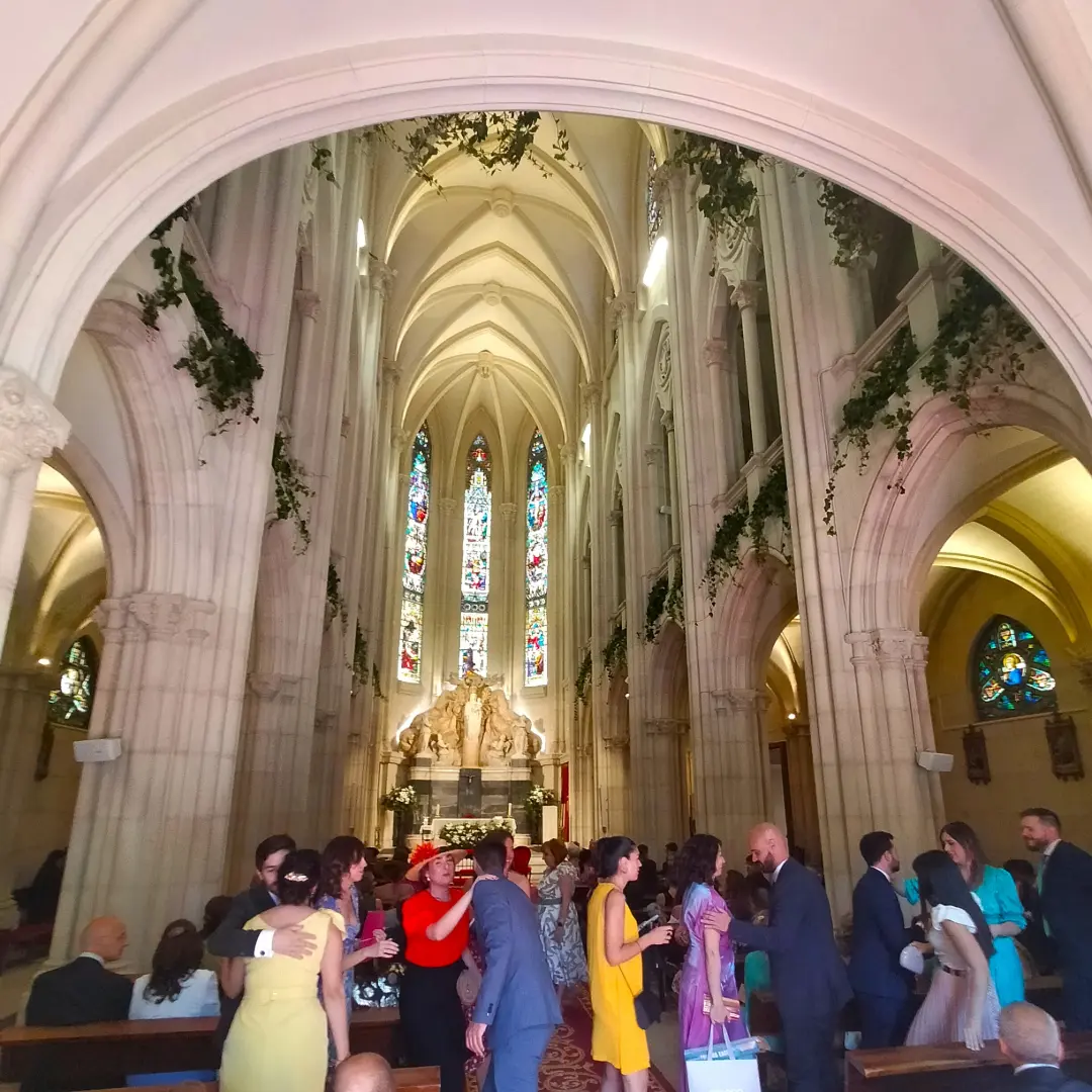 hiedra coro capilla colegio nuestra senora del pilar